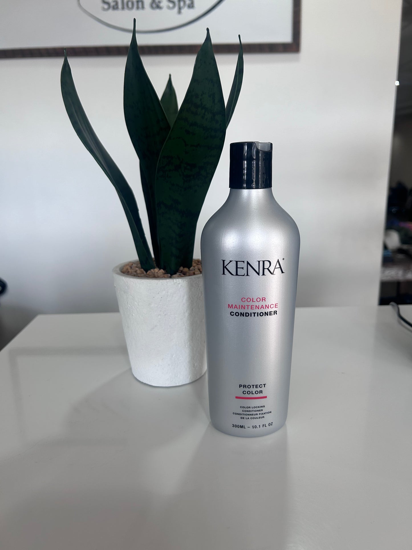 Kenra color maintenance conditioner