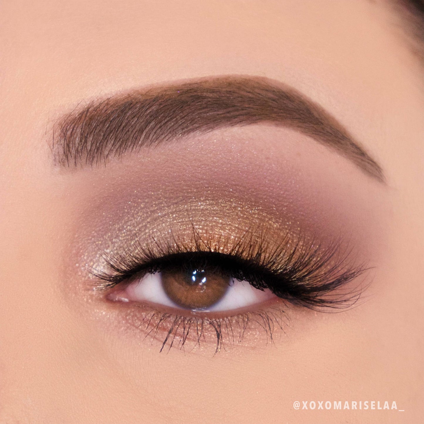 Golden Treasure Palette