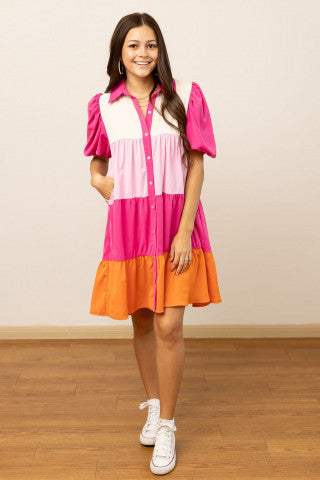 Pink color block button up dress